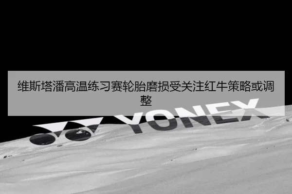 维斯塔潘高温练习赛轮胎磨损受关注红牛策略或调整